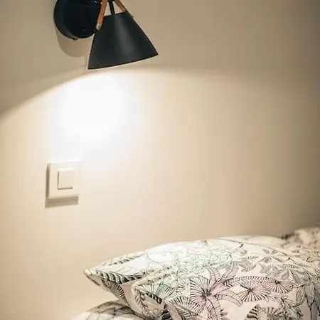 L'atelier Cosy *