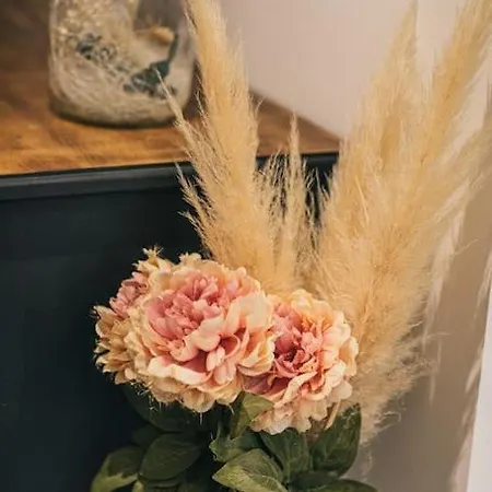 L'atelier Cosy דירה *